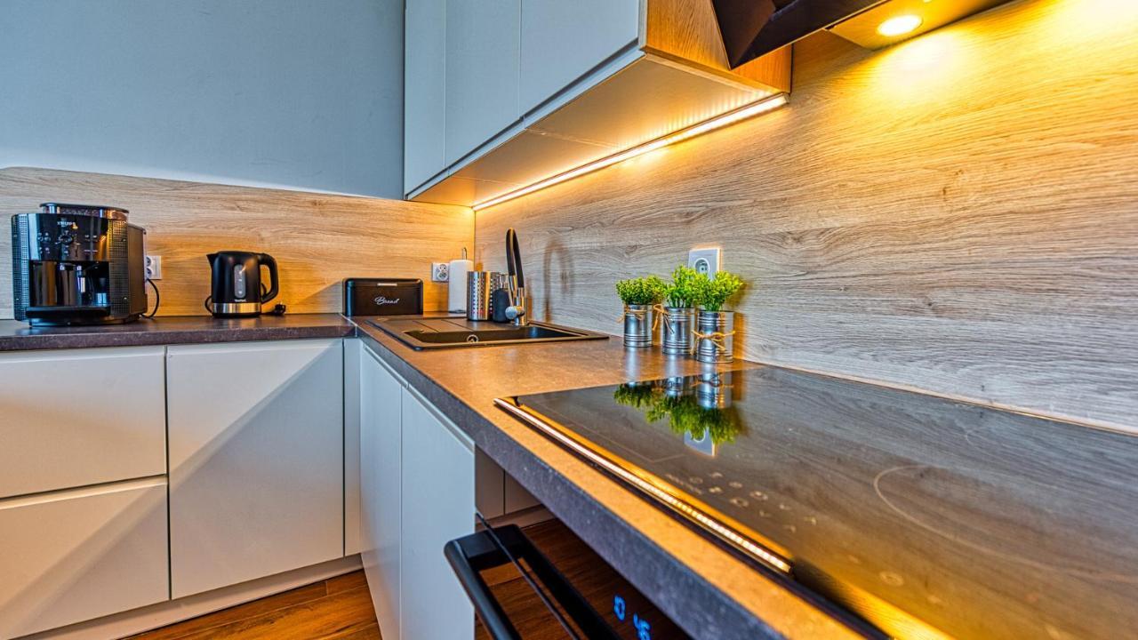 Apartament Pod Stogiem Izerskim - 5D Apartamenty Swieradow-Zdroj Ngoại thất bức ảnh